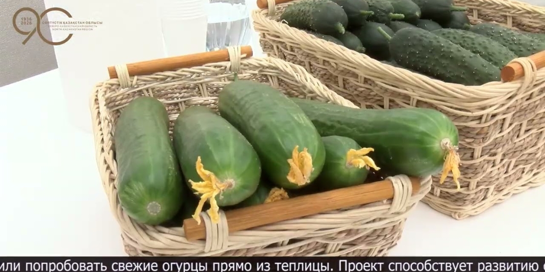 Семь предприятий за один день: инвестиционный тур раскрыл возможности региона